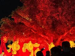 -狼山风景名胜区