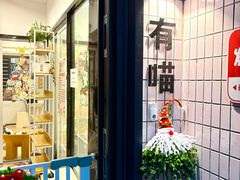 -有喵·猫咖·狗咖·30几只猫10只小狗(岗厦店)