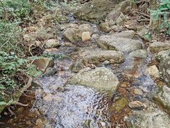 -安徽天堂寨风景区