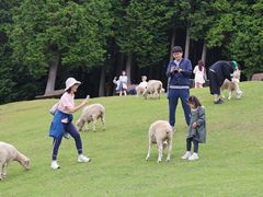 -神户市立六甲山牧场