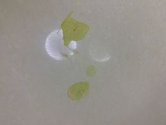 -美迦爱-牙专科·兔科·骨科诊疗中心(北苑店)