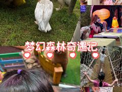 -正佳雨林生态植物园