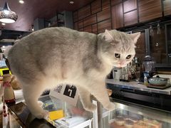 -咖法森林·咖啡  酒吧(天河店)