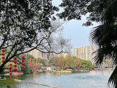 -荔湾湖公园