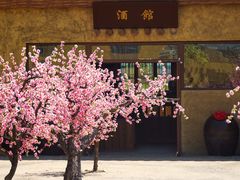 -中国马镇舞马世界主题乐园
