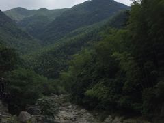 -宁波浙东大竹海景区