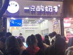 门面-一只酸奶牛(八一路店)