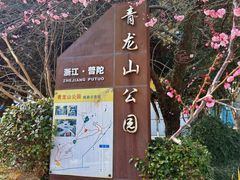 -青龙山公园