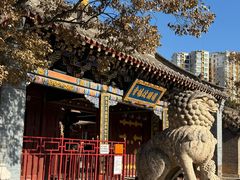 -护国法轮寺