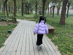 -嘉北郊野公园