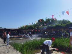 -同銮特种养殖场·龙虾垂钓