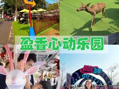 -盈香心动乐园