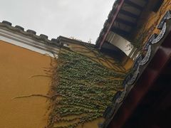 -普陀山慧济禅寺