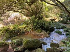 -赤水丹霞旅游区·佛光岩