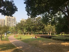 -中央公园(苏州工业园区)