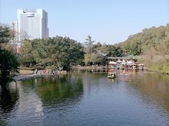 -桂湖森林公园