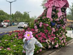 -苏州上方山国家森林公园