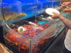 -苏格里岛自助烤肉海鲜火锅(成都金牛万达店)