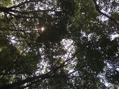 iphone_upload_pic-溱湖国家湿地公园