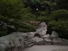 -重庆彩云湖湿地公园