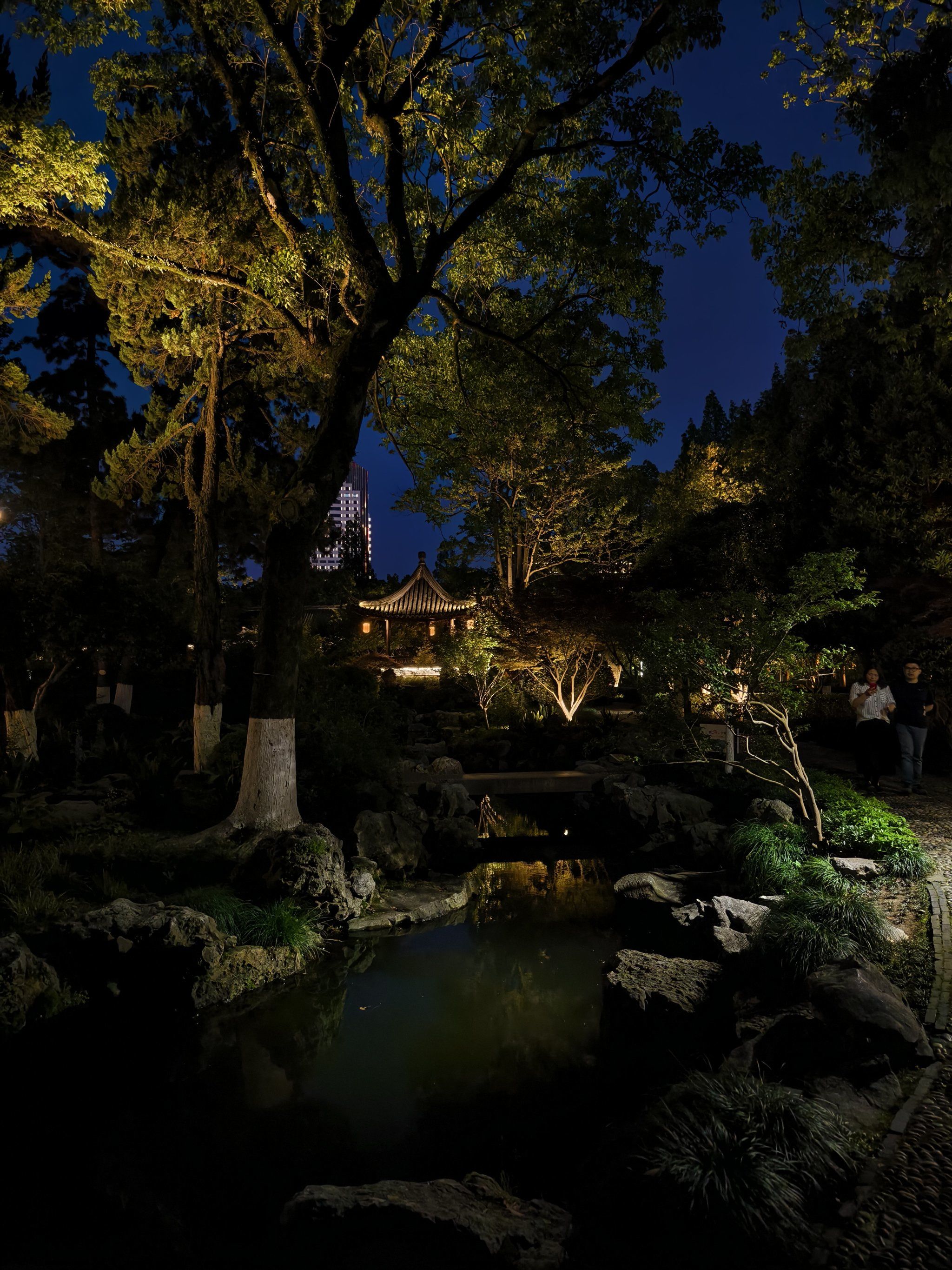 n夜色朦胧笼轻纱,
宛如仙境落人间.