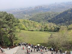 -敬亭山风景名胜区