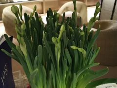 -上海外滩茂悦大酒店
