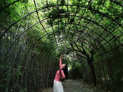-东海大峡谷