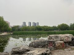 -太阳宫公园