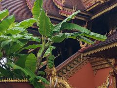 -西双版纳总佛寺