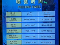 -上海海洋水族馆