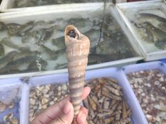 -拉威海鲜市场