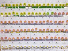 -泰康仰忠精品批发城