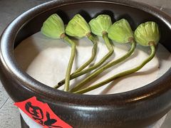 -鲤院·新中式美学·庭院餐厅(夫子庙店)