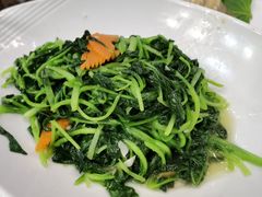 -红星渔村(将军石店)