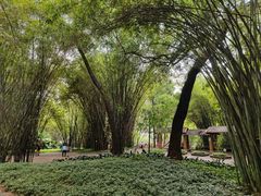 -晓港公园