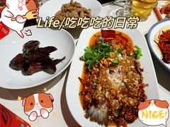-杨氏青龙虾·羊蝎子(托乐嘉店)
