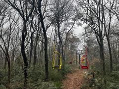 -WeLope紫金山探险公园