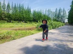 -上海长兴岛郊野公园