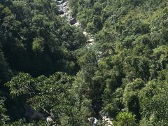 -海南热带雨林国家公园吊罗山景区