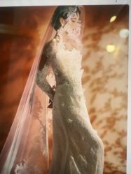 -金夫人婚纱摄影(总店)