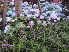 -春花秋色城市公园