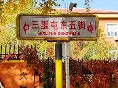 -三里屯东五街银杏大道