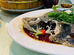 清蒸多宝鱼-顺德佬酒楼(愉龙店)