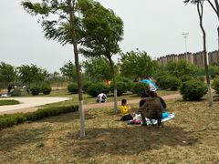 -丁香湖公园