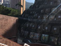 -香港大学