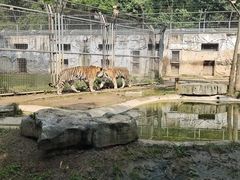 -黔灵山公园