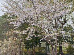 -上海交通大学(闵行校区)