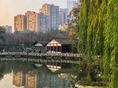 -钰湘宴·剁椒鱼头王(岳麓望月公园店)