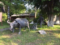 -广州神农草堂中医药博物馆